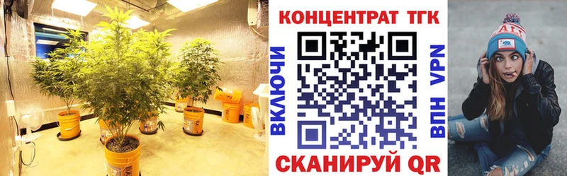 ТГК THC oil  OMG зеркало  Княгинино 
